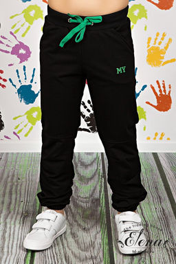 Брюки М22115ВШа Черный