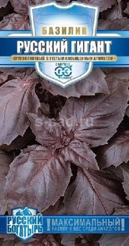 Русский гигант, фиолетовый базилик 0,1гр (г)