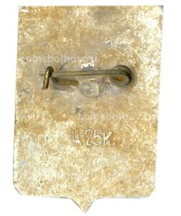 Значок Устюжна