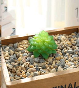 Суккулент искусственный 6,5х6,5 см / GN104 /уп 100/