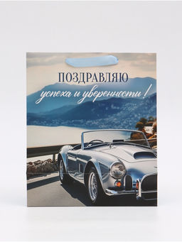 Цена за 2 шт. Пакет ламинированный «Поздравляю», ML 23 × 27 × 11,5 см