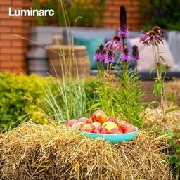 Блюдо для подачи ФРЕНДС ТАЙМ ТЮРКУАЗ 25см ПЛОВ - Luminarc фото 3