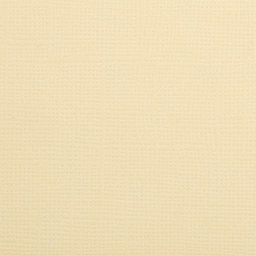 Бумага для скрапбукинга "Mr.Painter" PST 216 г/кв.м 30.5 x 30.5 см 10 шт.