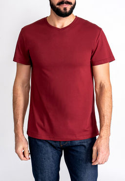 Футболка мужская короткий рукав GREG G146-RD-1061_R (бордовый)