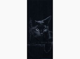 6с102.411ж1 Кот (т.синий) Полотенце махровое 67х150см