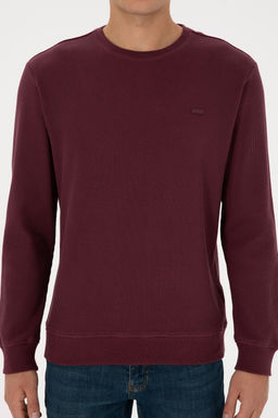 Erkek Regular Fit Bisiklet Yaka Bordo Sweatshirt - U.s. polo assn фото 6