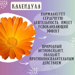 Камлёвъ Черный чай с горным чабрецом и лепестками календулы Чабрецовый, 48 г (16 саше) - Камлевъ фото 9