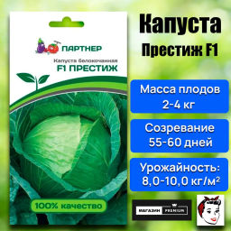 Капуста белокочанная позднеспелая Престиж - Партнер фото 8
