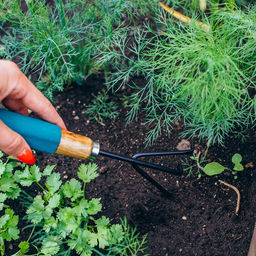 Рыхлитель Greengo, длина 30.5 см, 3 зубца, деревянная ручка с поролоном