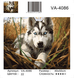 Картина по номерам на холсте и подрамнике 40х50 см