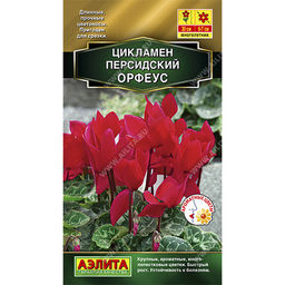 Цикламен персидский Орфеус 3шт. (Аэлита)