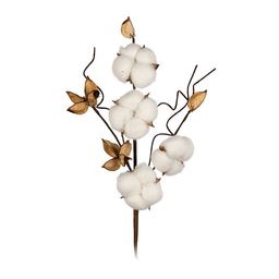 Искусственное растение Blumentag CTW-03 Веточка декоративная хлопок 50 см 5 х 1 шт. 01
