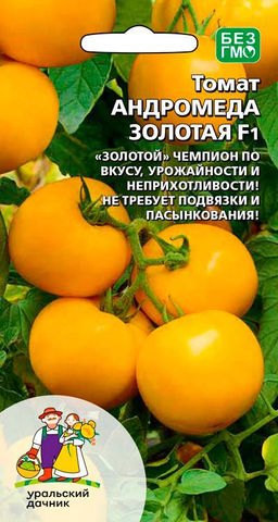 Томат АНДРОМЕДА ЗОЛОТАЯ F1 Золотой чемпион по вкусу, урожайности и неприхотливости! Не требует подвязки и пасынкования!