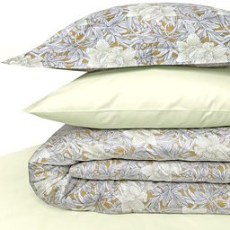 Боначи - Balimena фото 2