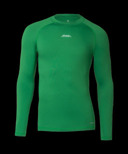 Джемпер компрессионный утепленный JOGEL CAMP PerFormDRY Baselayer Top Warm, зеленый  фото 2