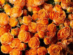 c2b4d4fac6dec5c44b1aa69e3f9615603vujt32ht6kme2gh5u