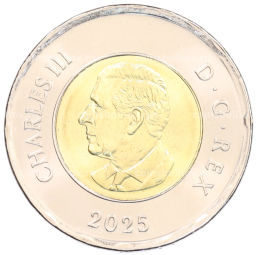 2 доллара 2025 года Канада Чествование неизвестного солдата Канады