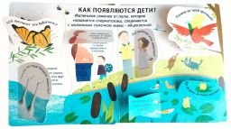 40 окошек. Откуда берутся дети - Робинс фото 3