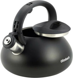 Чайник 2,5л из нержавеющей стали со свистком и ручкой из нейлона (100302)