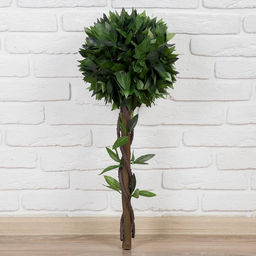 Дерево искусственное «Бонсай», h=70 см, шар d=25 см