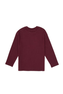 Erkek _ocuk Bordo Bisiklet Yaka Sweatshirt - U.s. polo assn фото 7