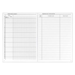 Классный журнал 10-11 класс арт. 5193