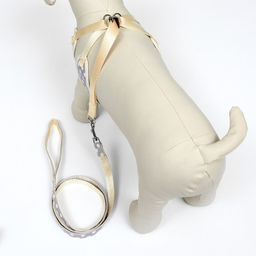 Комплект с мягкой шлейкой Горох, размер М, поводок 120 х 1,5 см, ОГ 34-66 см, серый - Пижон фото 3