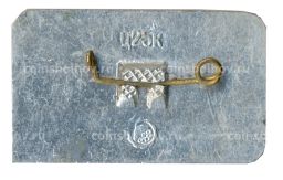 Значок Галич