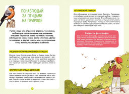 Птицы. Лучези М. - Махаон фото 6