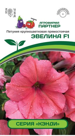 Петуния Кэнди Эвелина прямостоячая коралловая