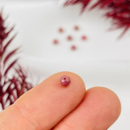 Бусины для украшений из Родонита (10 шт)