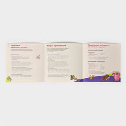 Тарелка для правильного питания Доляна «Гарвардская №3», d=23 см, 3 секции, фарфор, белая