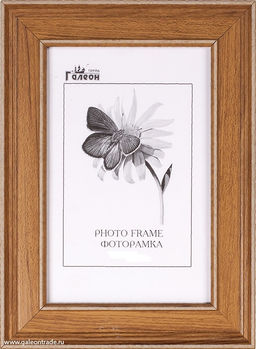 Фоторамка 20х25 / ZR8210H-222411 /уп10