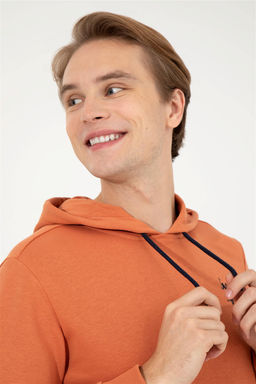 Мужская плитка базовая толстовка Неожиданная скидка в корзине - U.s. polo assn фото 2