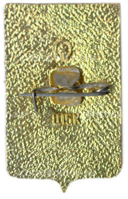 Значок Ростов на Дону