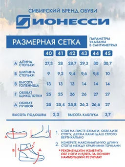 Ботинки ИОНЕССИ