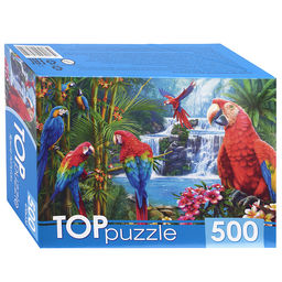 Пазлы 500 TOPpuzzle "Яркие попугаи"