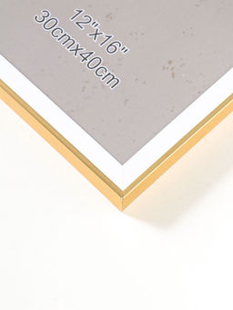 Фоторамка для фото 30×40 см «Современная классика», пластик, под золото и белый, 42.6×32.6×1.5 см