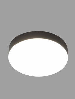 Светильник потолочный LED Relict 22 SPB-6-20, 20Вт, 4000К, d210 h55, без ПДУ, чёрный