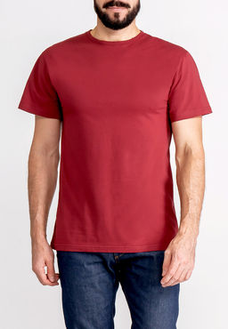 Футболка мужская короткий рукав GREG G145-RD-1061_R (бордовый)