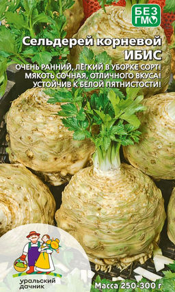 Сельдерей корневой ИБИС Очень ранний, лёгкий в уборке сорт! Мякоть сочная, отличного вкуса! Устойчив к белой пятнистости!