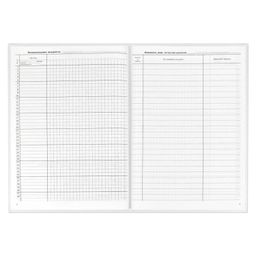 Классный журнал 1-4 класс арт. 5191 - Феникс+ фото 19