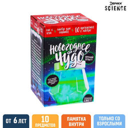 Набор для опытов Новогоднее чудо