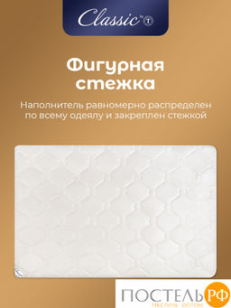 Classic by T ДЕМЕТРА Одеяло 200х220, 1пр., см.хлопок/хлопок/микровол. фото 8