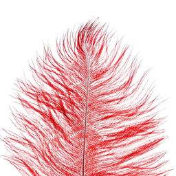Перо для декора, длина: от 45 до 50 см, цвет бордовый