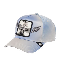 Бейсболка GOORIN BROTHERS арт. 101-2243 (бежевый / синий)