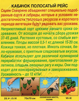 Кабачок Полосатый рейс (цуккини) 1г (Аэлита)