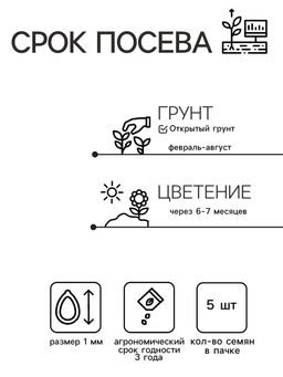 Семена цветов Эустома Эхо Йеллоу желтая, драже, 5 шт