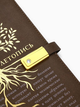Родословная книга со встроенной флешкой 16 Gb «Семейная летопись», 17.5×23 см