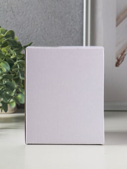 Сувенир полистоун свет "Белоснежный ангел с тортом" 11,8х8х11,5 см